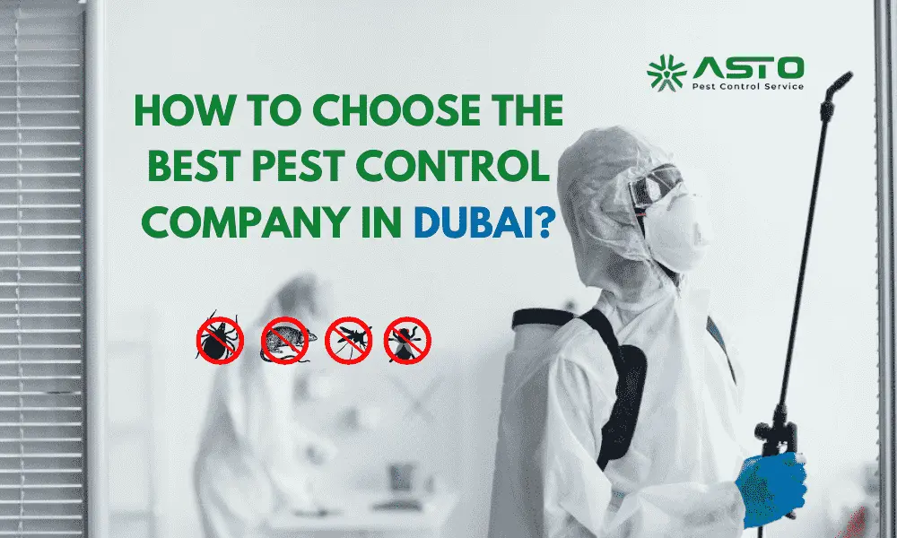 choose pest control company Dubai